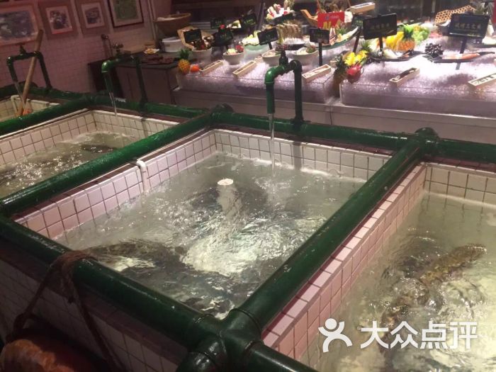 鱼乐水产(金桥国际广场店)图片 - 第3张