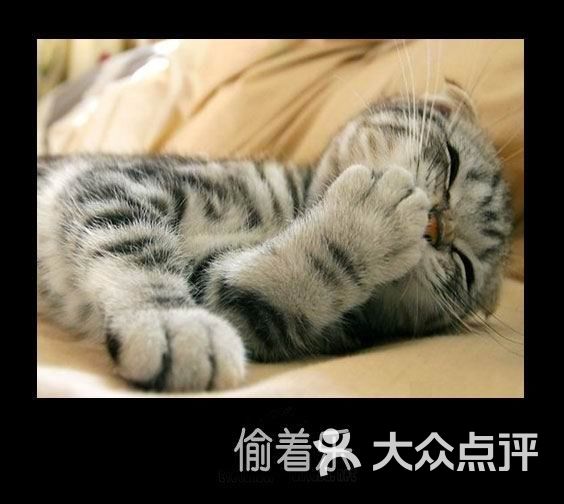 偷着乐