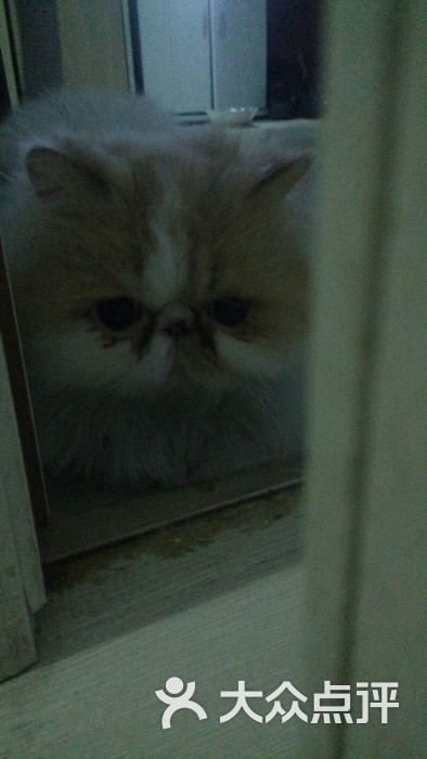 金育游泳馆-图片-长春运动健身-大众点评网