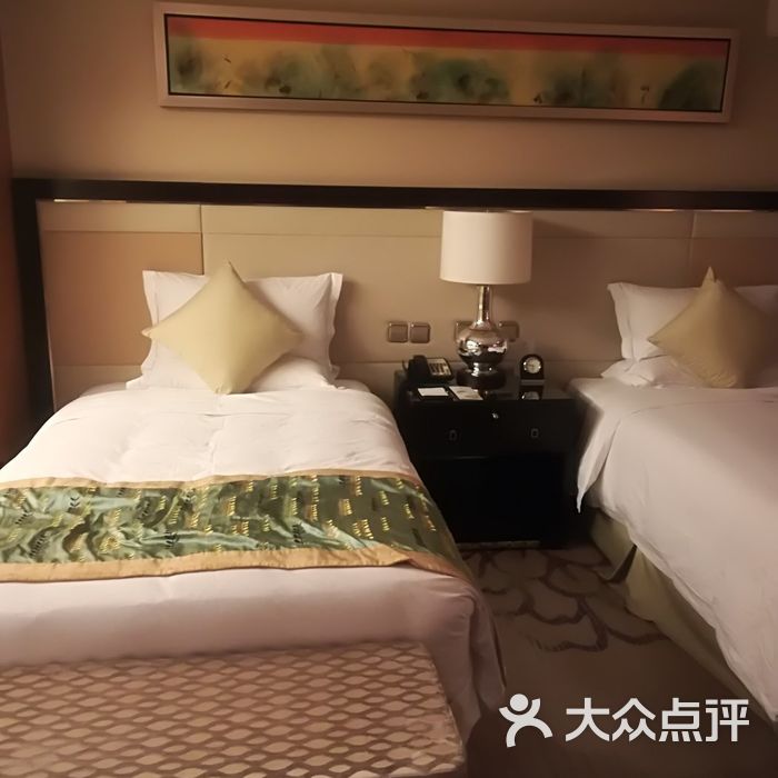 石家庄中茂海悦酒店图片-北京五星级酒店-大众点评网