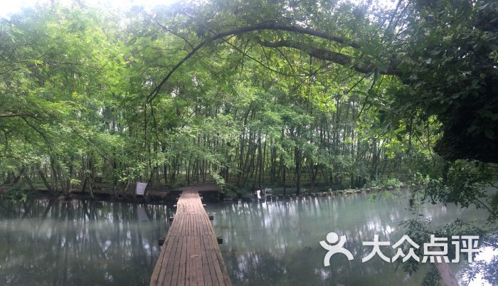 西溪南古村落景区-图片-黄山周边游-大众点评网