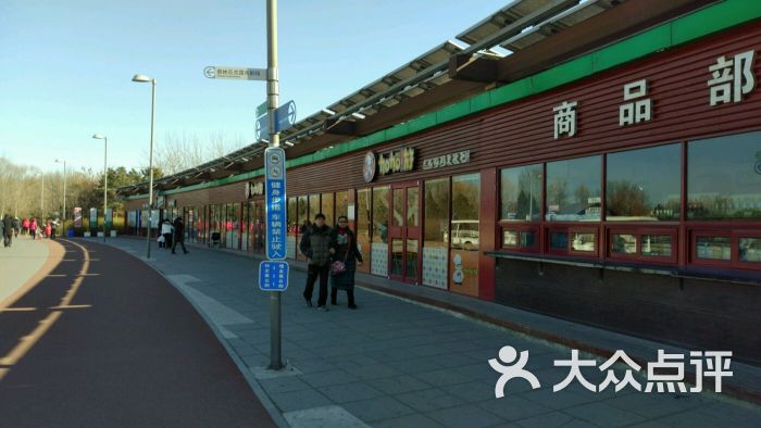 奥林匹克森林公园南门停车场-图片-北京爱车