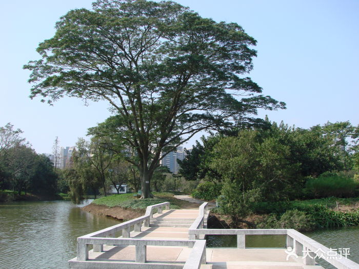 南沙蒲洲花园景点图片