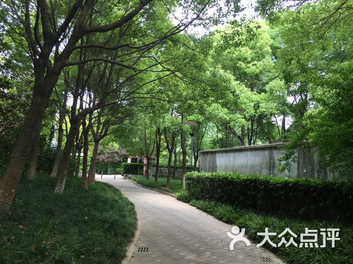 庙行公园图片 - 第1张