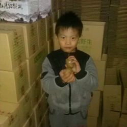 刘师傅果业太白山野生猕猴桃