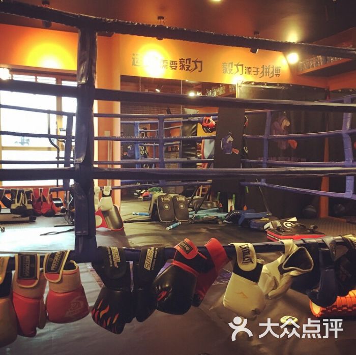 Whale Fighting Fitness 搏击健身工作室(蓝鲸健