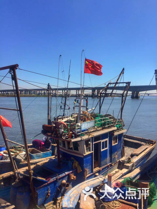 北塘渔港海鲜批发市场-图片-天津美食-大众点评网