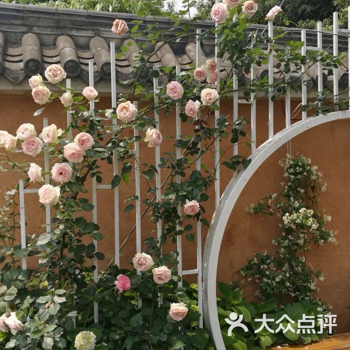 玫瑰小镇花园餐厅