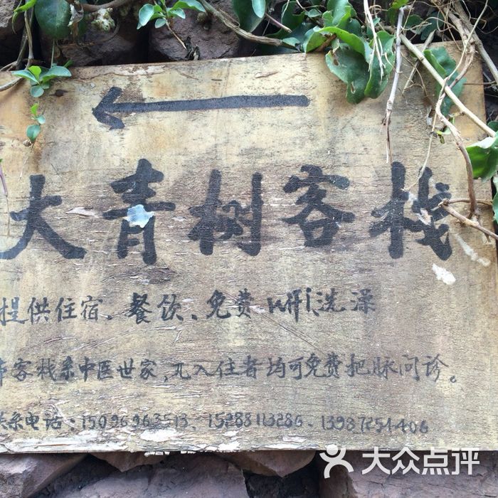 诺邓大青树客栈