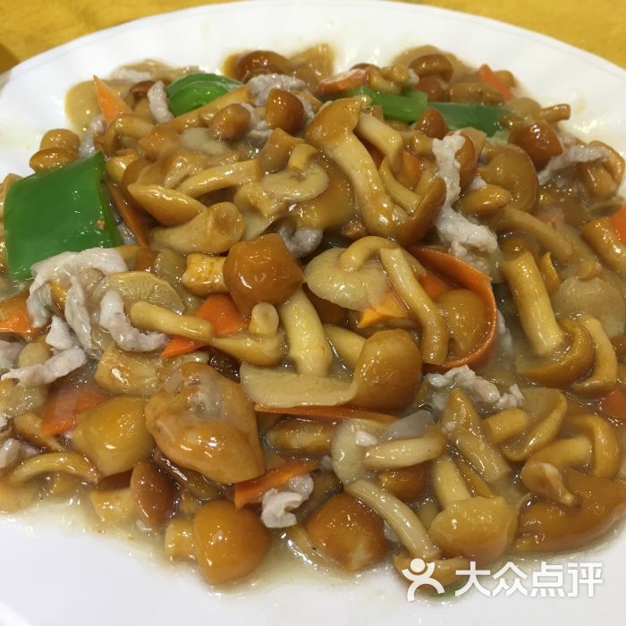 新飞龙饺子馆肉炒滑子菇图片 第97张