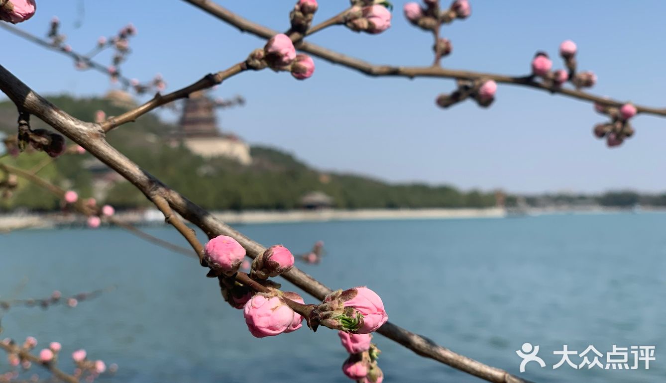 我买的上午的,十一点半才到那边,没想到的是