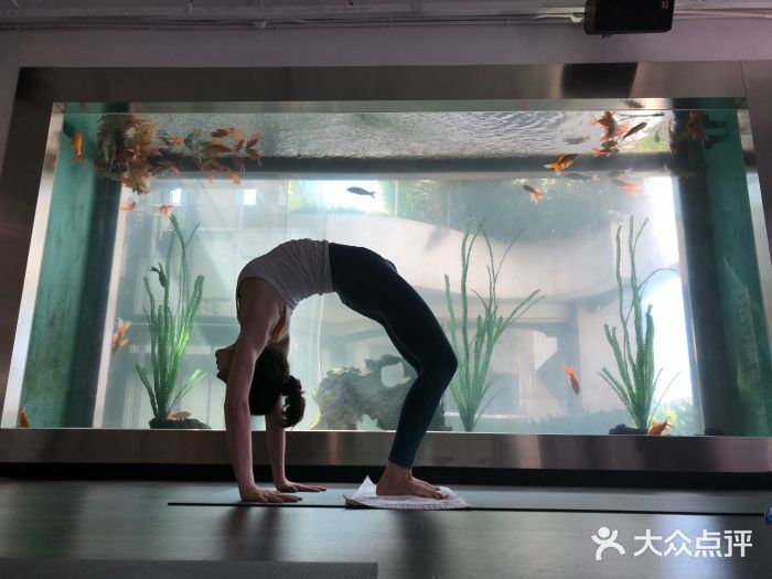 maniyoga曼逸瑜伽(静安臻品店-图片-上海丽人-大众点评网