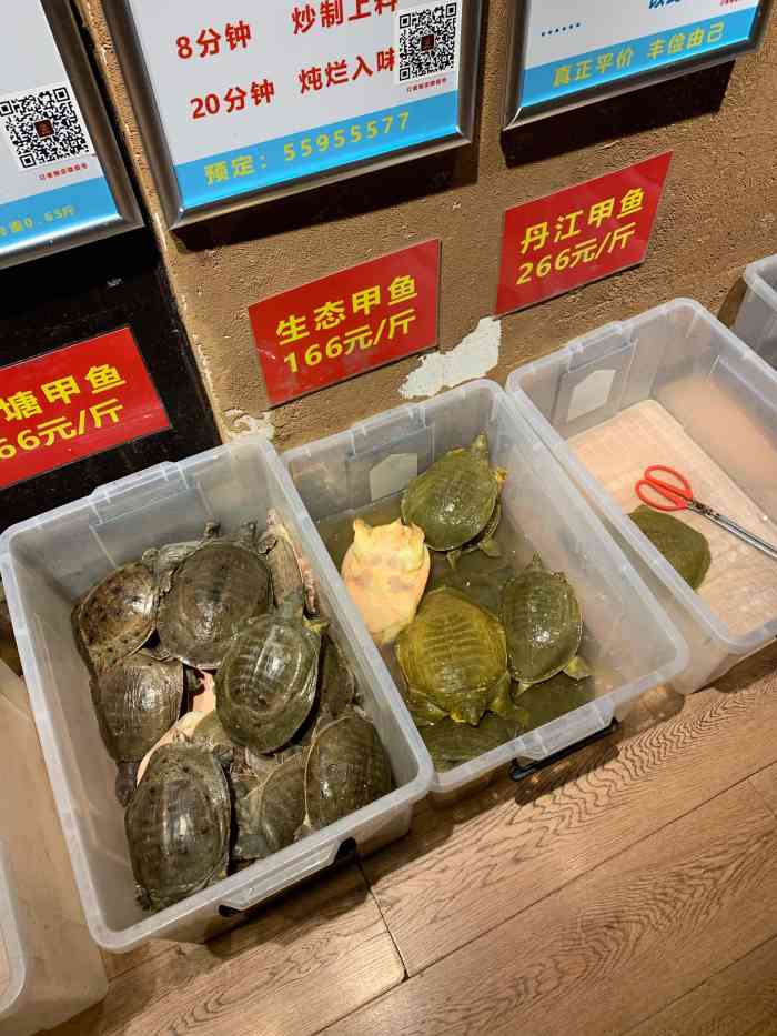 金元甲甲鱼馆博颂路店