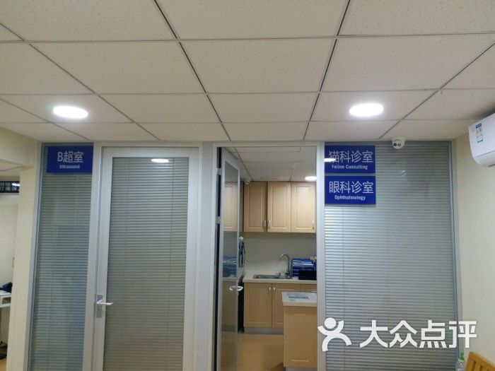 芭比堂动物医院(上海仁德分院)诊室图片 - 第6张