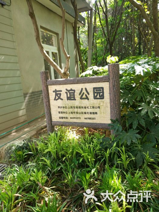 友谊公园-图片-上海周边游-大众点评网