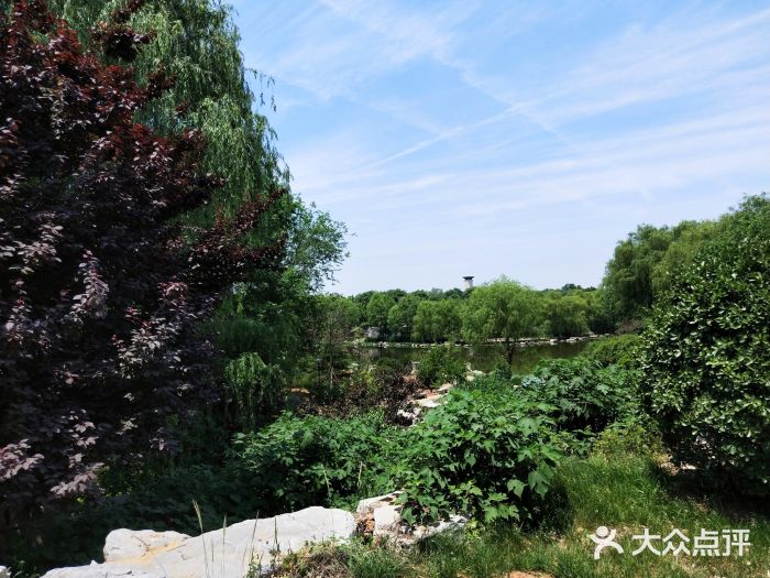 山东财经大学圣井校区(圣井校区)图片