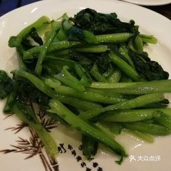 拔苦菜简谱_苦菜图片(2)