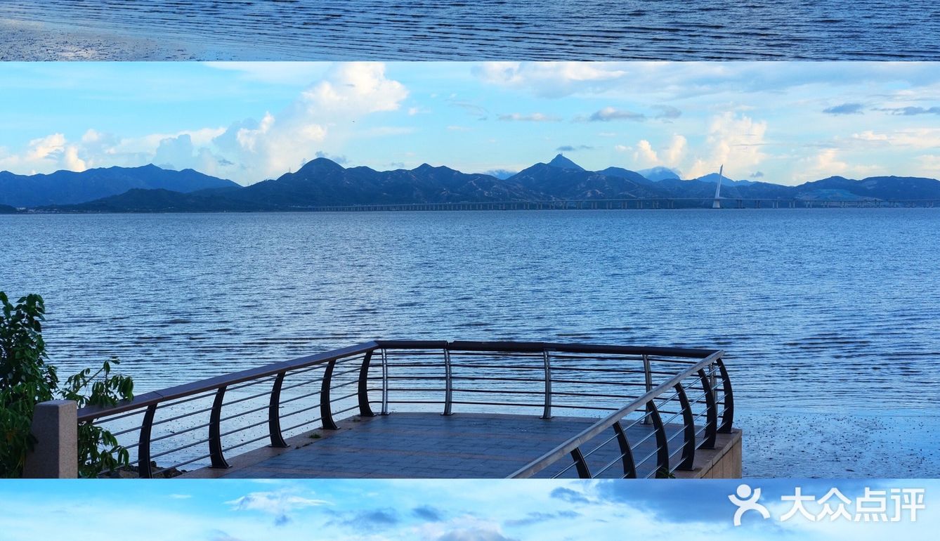 深圳美景|这一段的深圳湾公园太美啦