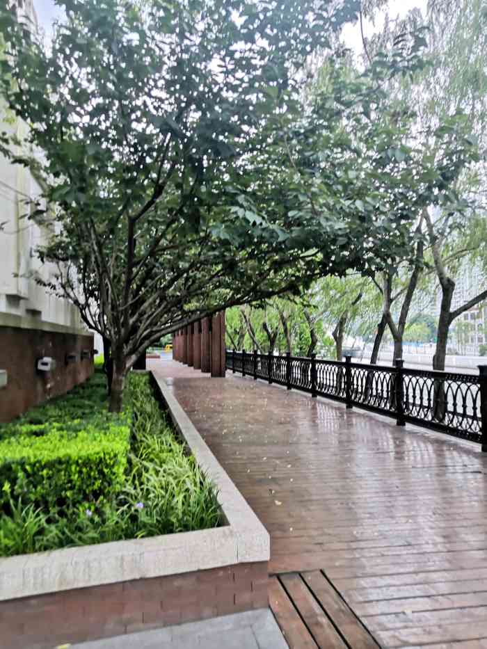 蝴蝶湾绿地-"静安蝴蝶湾公园因其平面形状像一只展开.