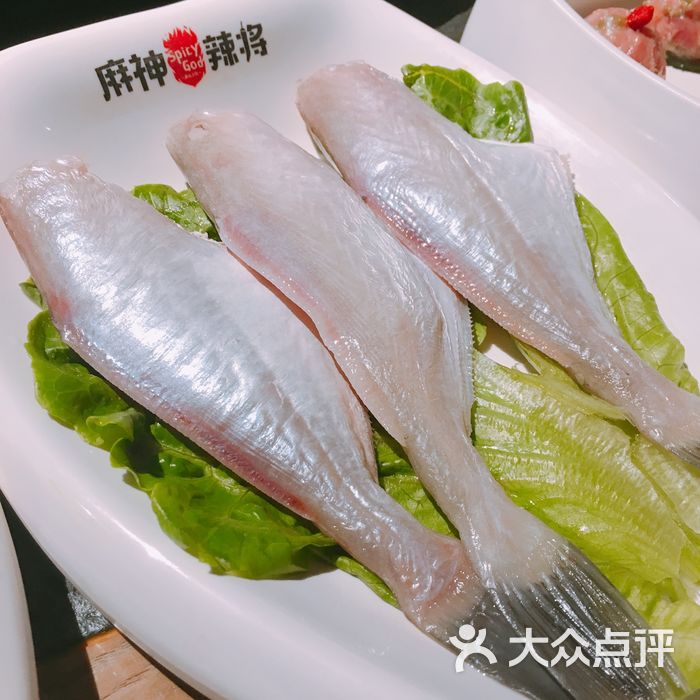 鱼                 把梦留给海           承承王子           川子