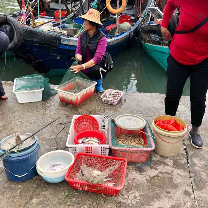 鲘门镇综合市场-"这里很多海鲜干货,也有很多小店,很多旅客.