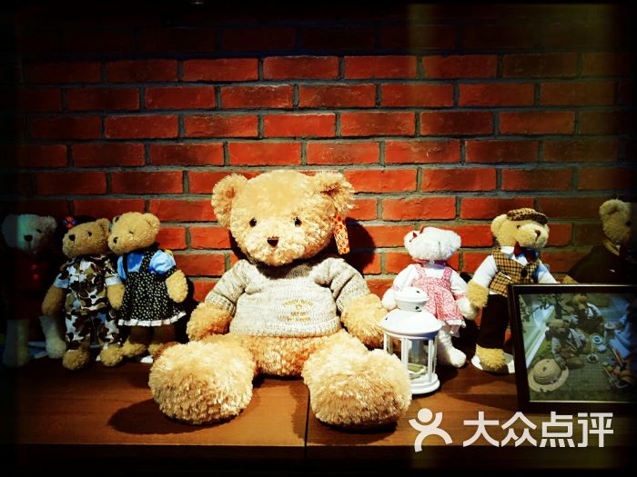 teddy island 泰迪世界图片 - 第5张