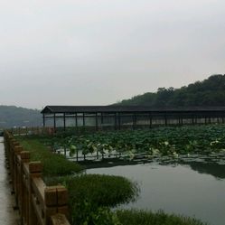 【般阳法苑·法边余墨】连带清偿责任在执行开云体育- 开云体育官方网站- 开云体育APP 最新2025程序中的行使