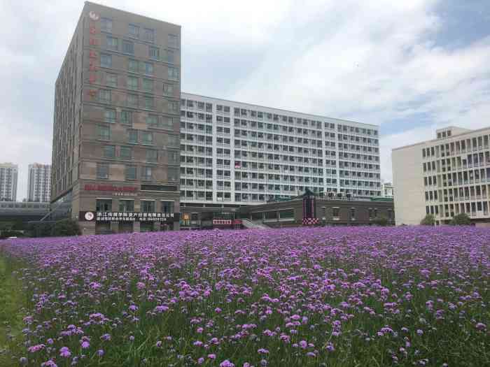 浙江传媒学院(下沙校区)-"学校地理位置优越,周边都是