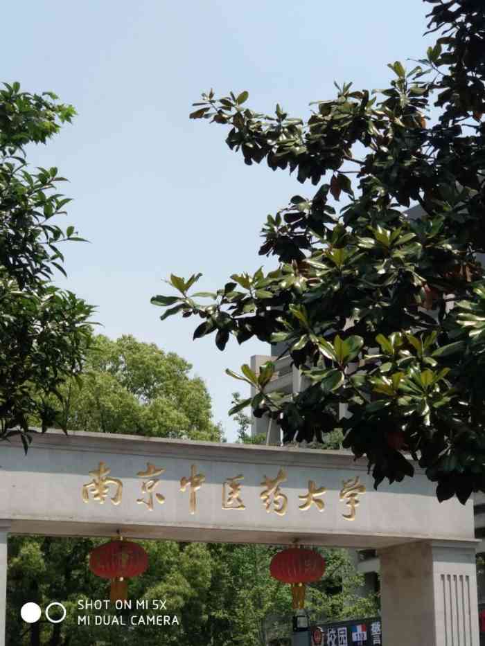 南京中医药大学(汉中门校区)-"南京中医药大学(汉中门) 一个下了雨的