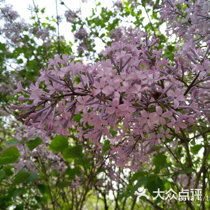 中国科学院植物研究所北京植物园