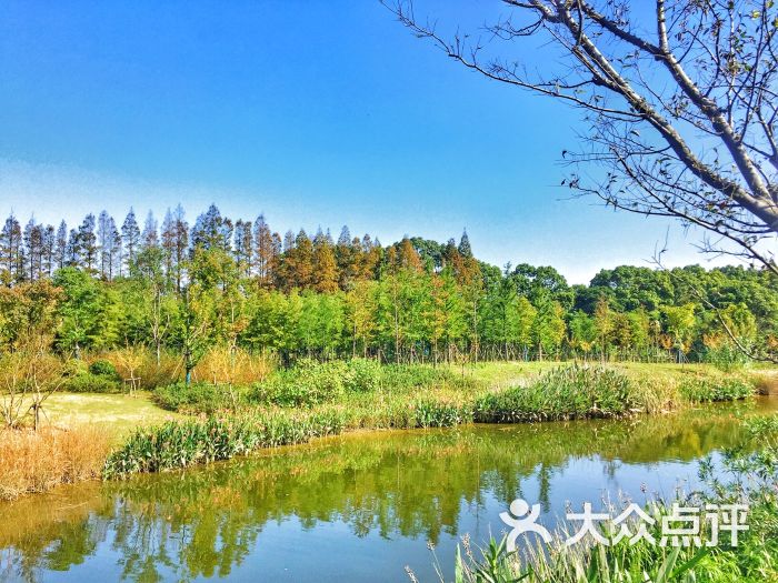 长兴岛郊野公园景点图片 - 第7张