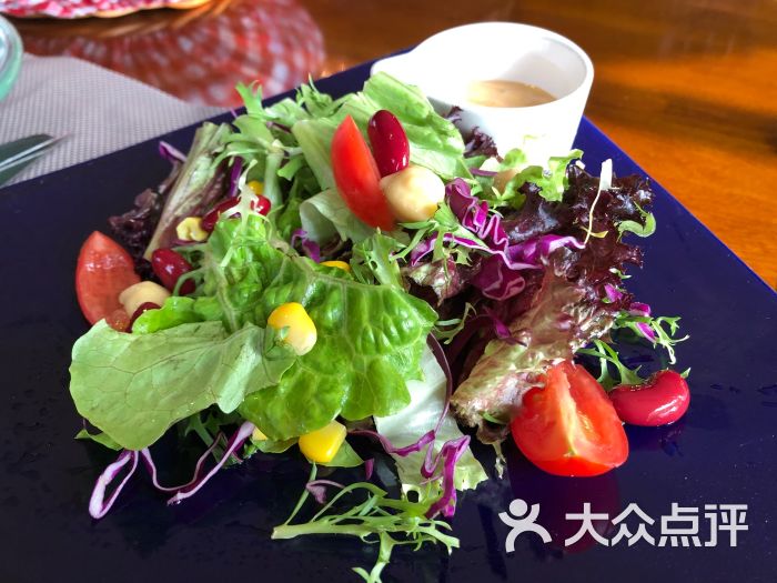 田园蔬菜沙拉