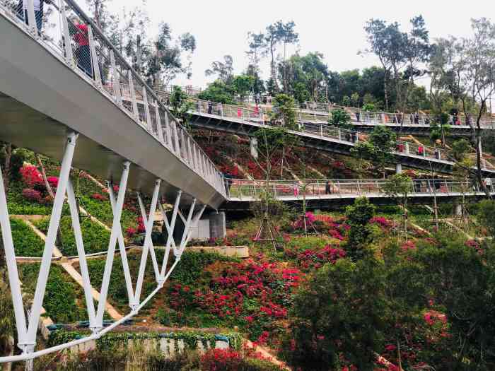 山海健康步道-"打卡厦门网红新景点整个步道修的很用