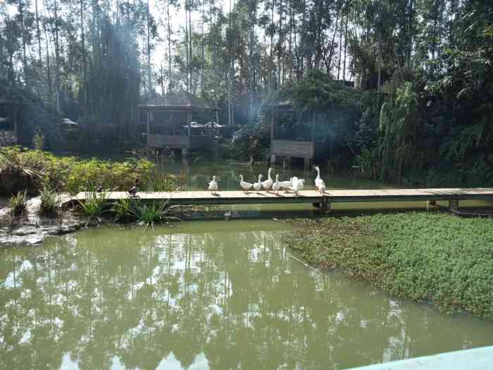 心花怒放·湖畔烧烤(三圣乡店)