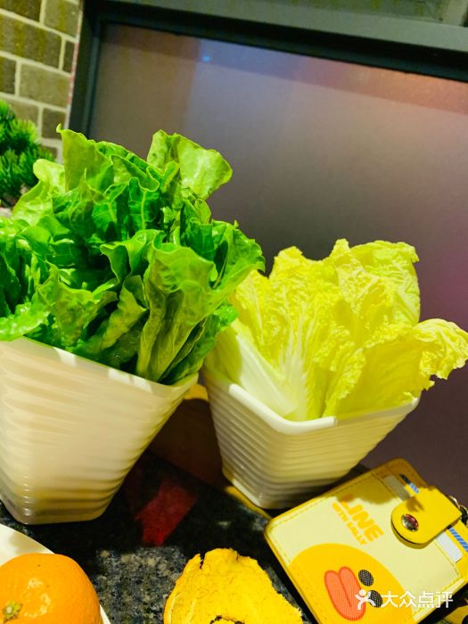 渝禾庄重庆鲜菜火锅(新桥店)图片