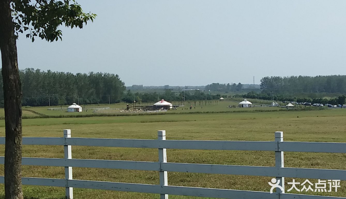 到六合巴布洛生态谷,寻一处空阔地,趁无人时