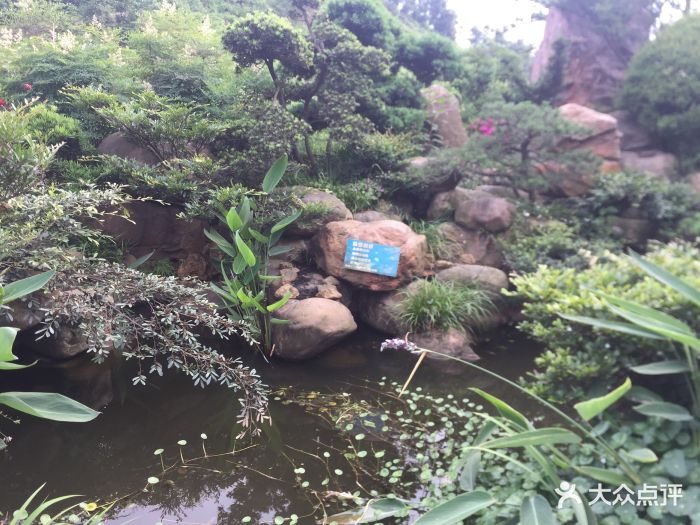 百园嘴山庄-图片-株洲美食-大众点评网