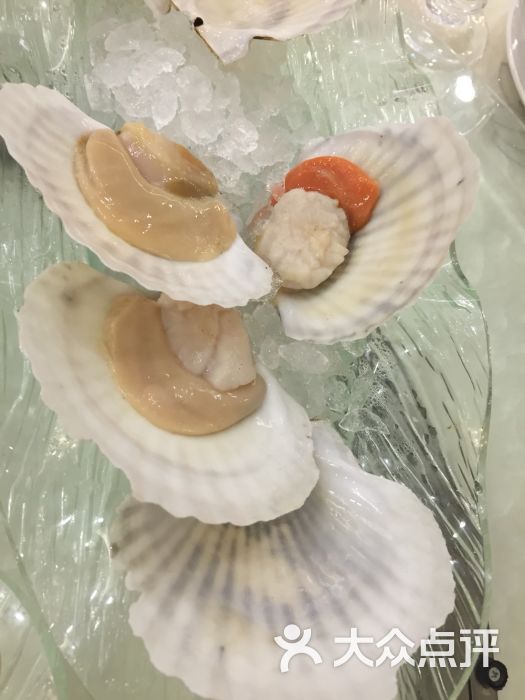 金鲨海鲜自助餐厅_金厨鲨_金鲨海鲜