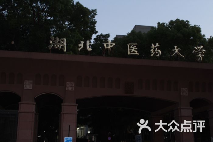 湖北中医药大学(昙华林校区)校门图片 - 第8张