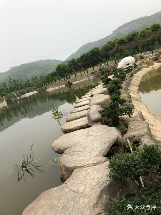 国际慢城太寺垭森林公园图片 - 第6张