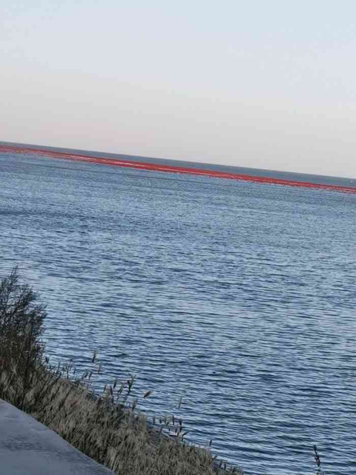 红滩湿地旅游度假区-"红滩湿地滨海公园～听朋友说的