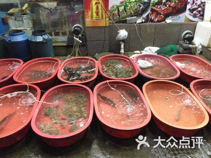 金海湾海鲜楼_金海湾银楼_金海湾海鲜