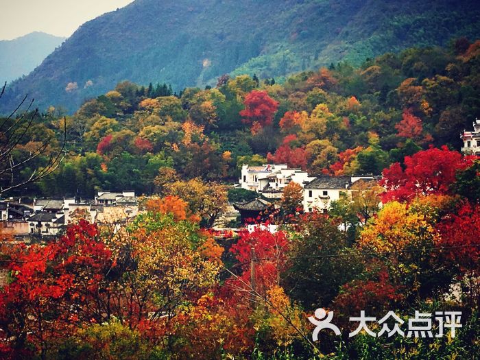 塔川景区图片 第2张