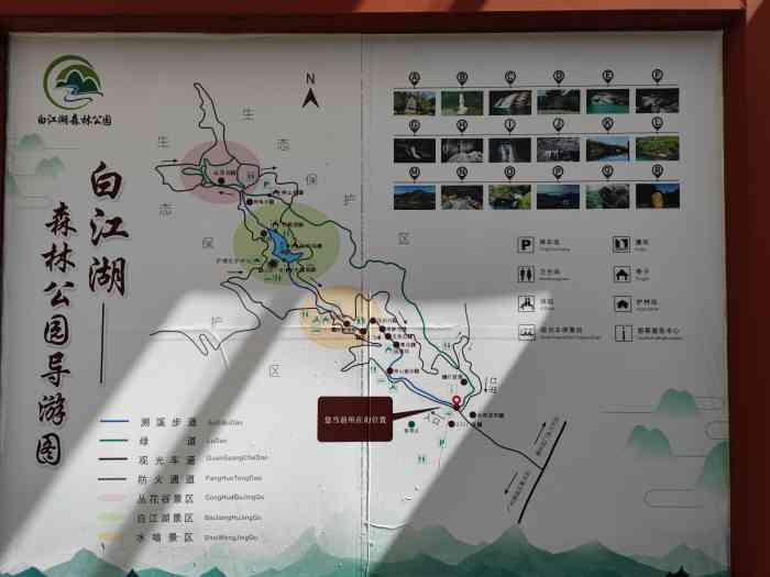 白江湖森林公园"应该是新开发的一个森林公园,树林茂密,空.