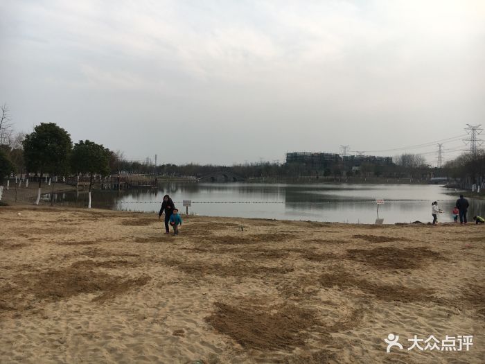 金海湿地公园人造沙滩图片