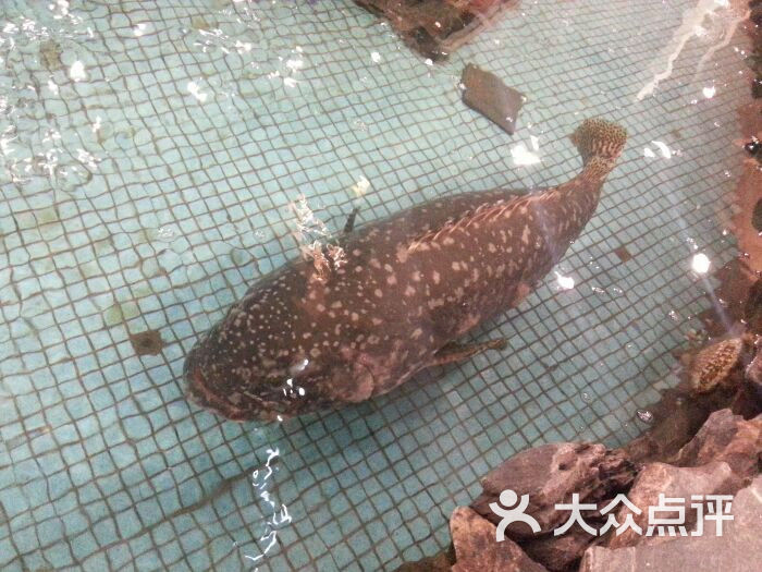 鸿星海鲜酒家_海鲜酒家门头_鸿星万豪海鲜酒家