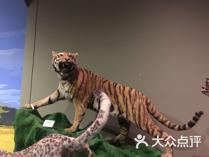 天津自然博物馆图片 第4张