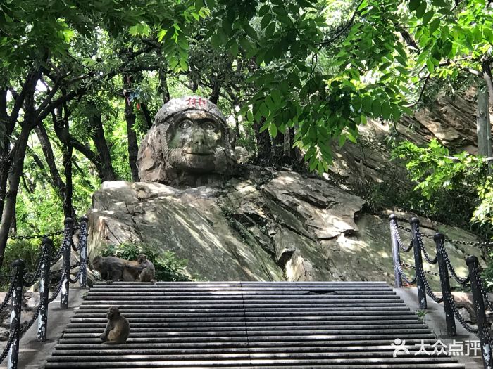 花果山风景区图片 - 第1019张