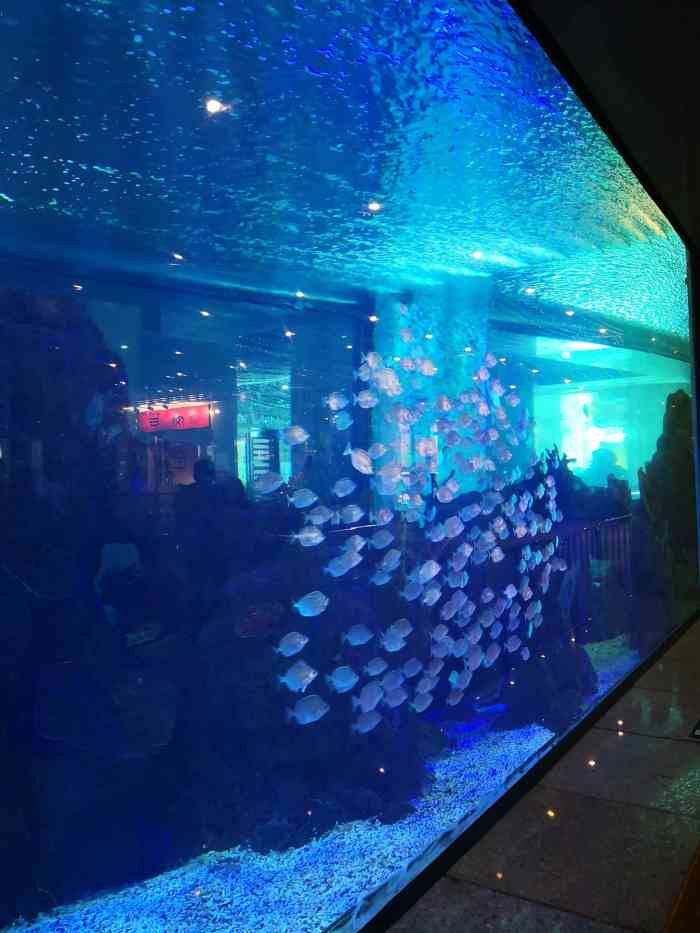 鎏嘉码头水族馆-"去鎏嘉码头吃饭,一楼中央公共区域就