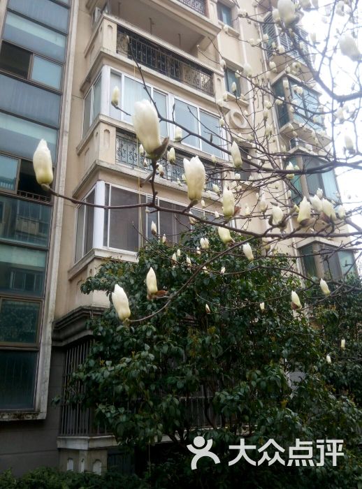 昆山花园图片 第2张